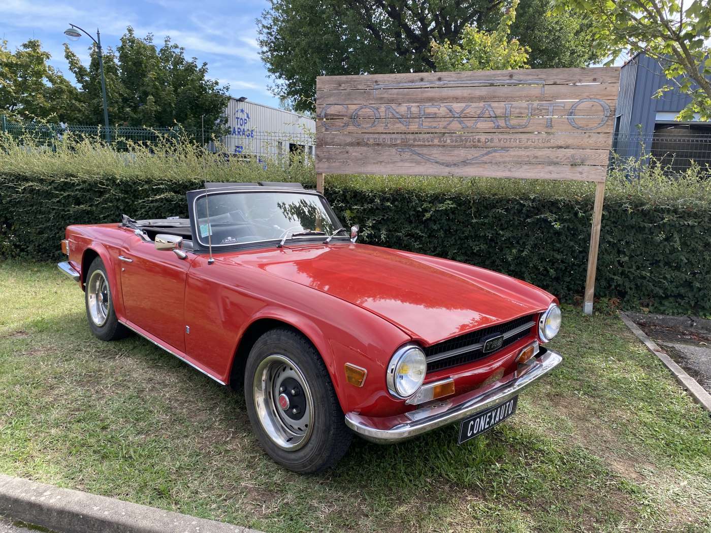 Triumph TR6