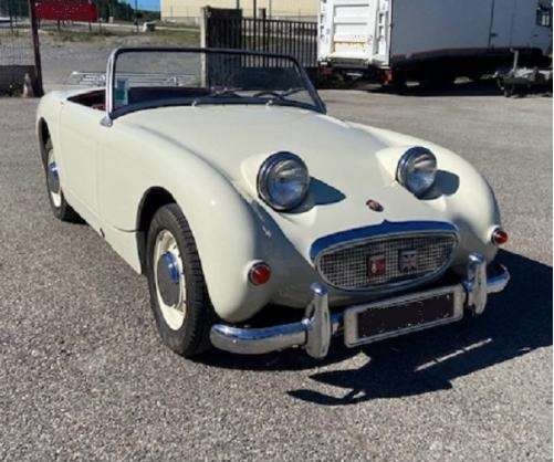 Austin Healey Sprite Frogeye