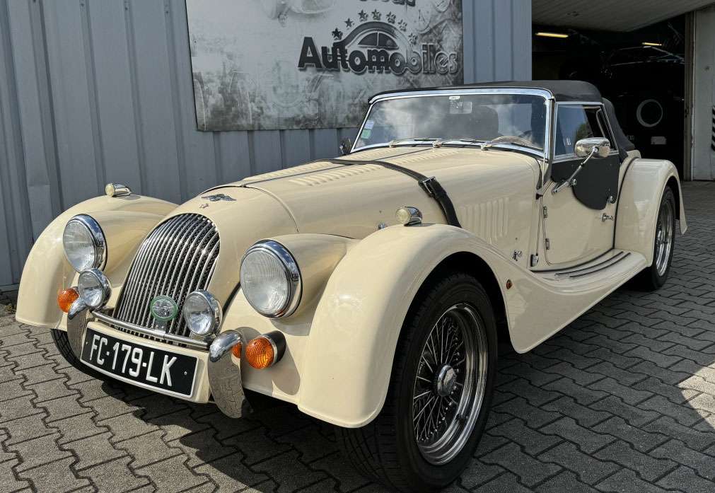 Morgan +8