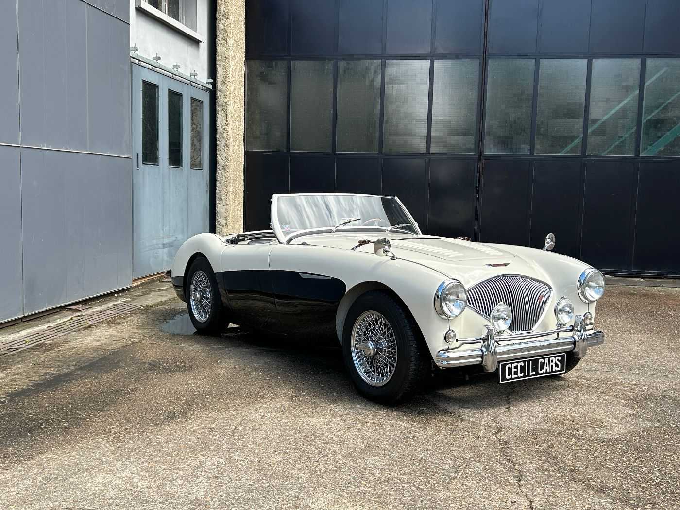Austin Healey 100