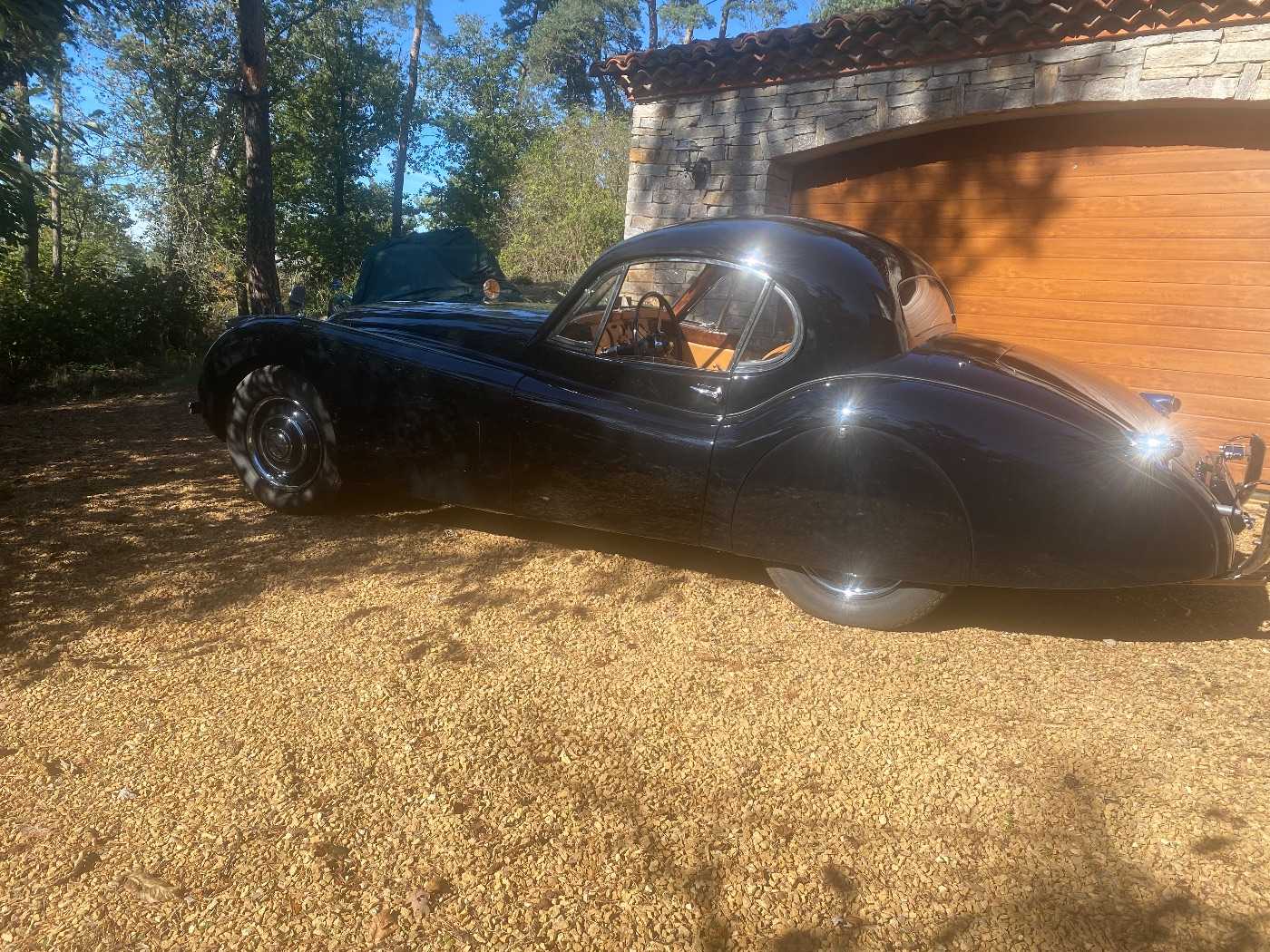 Jaguar Série - XK