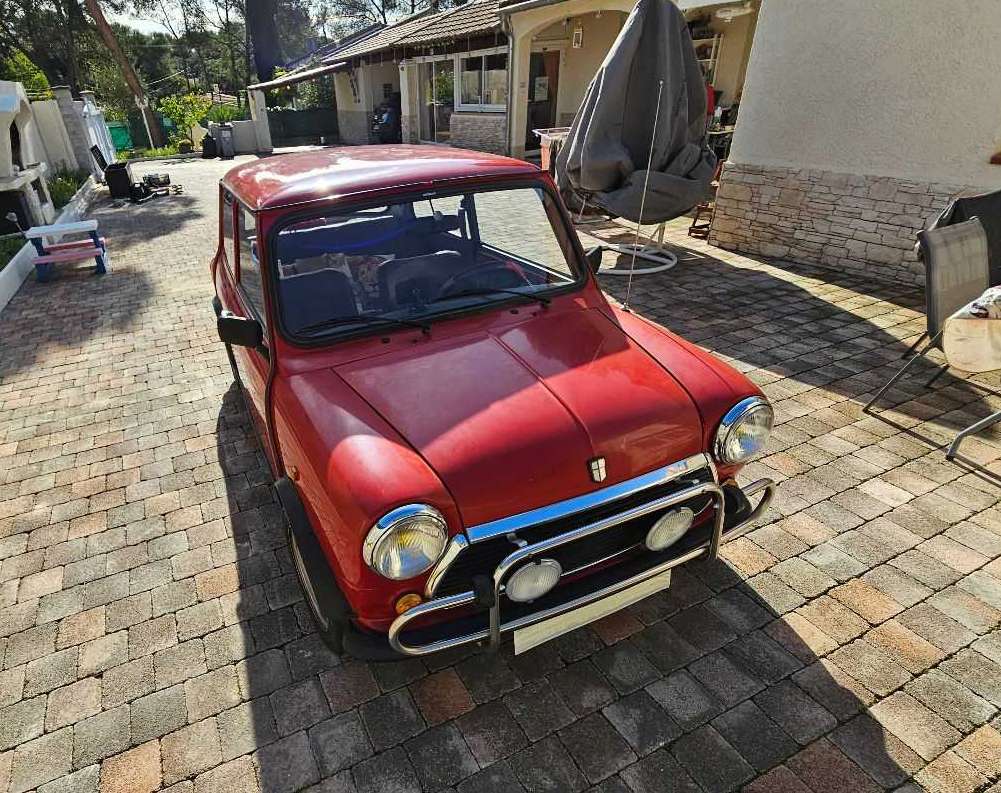 Mini 1000