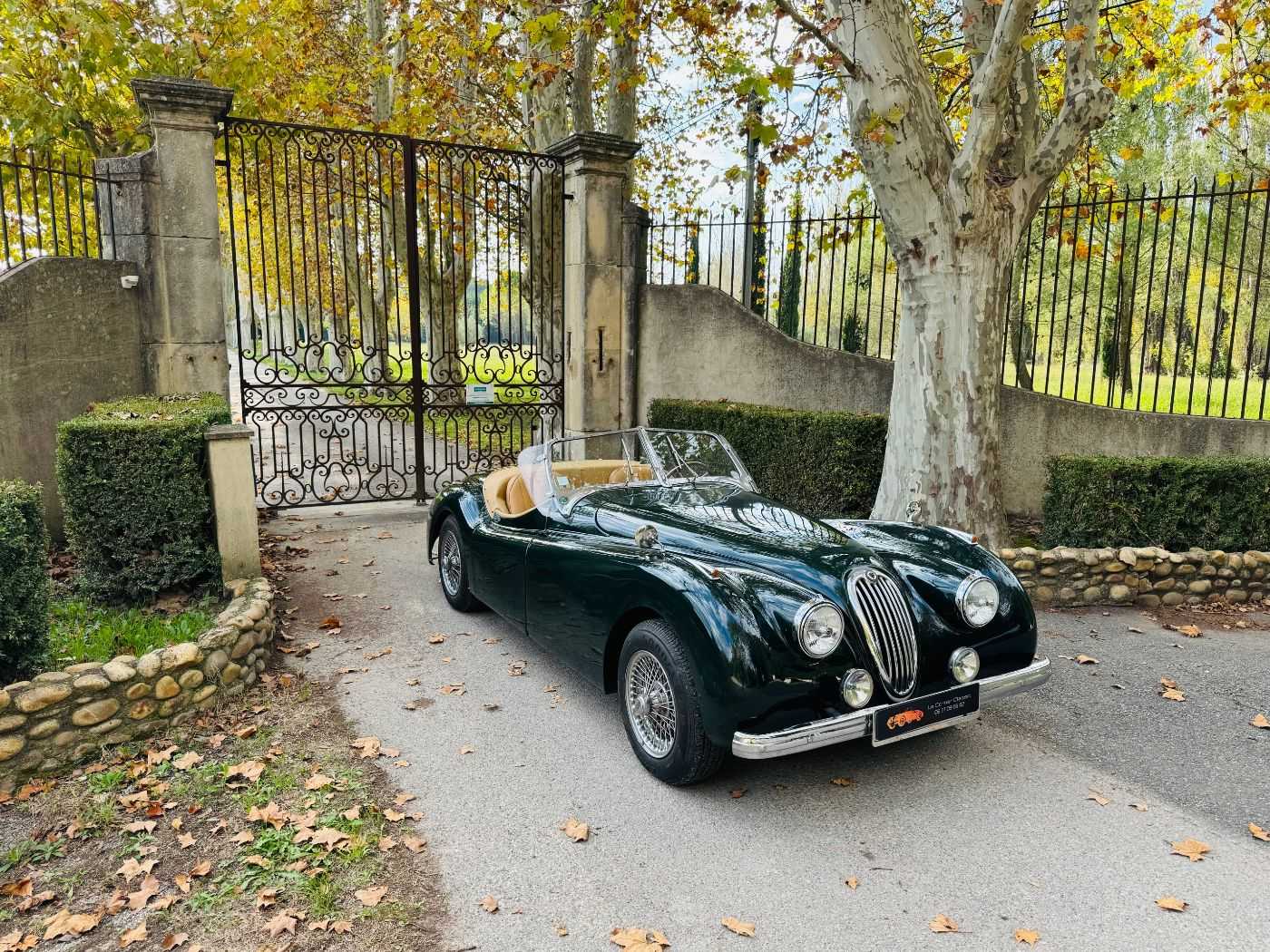 Jaguar Série - XK