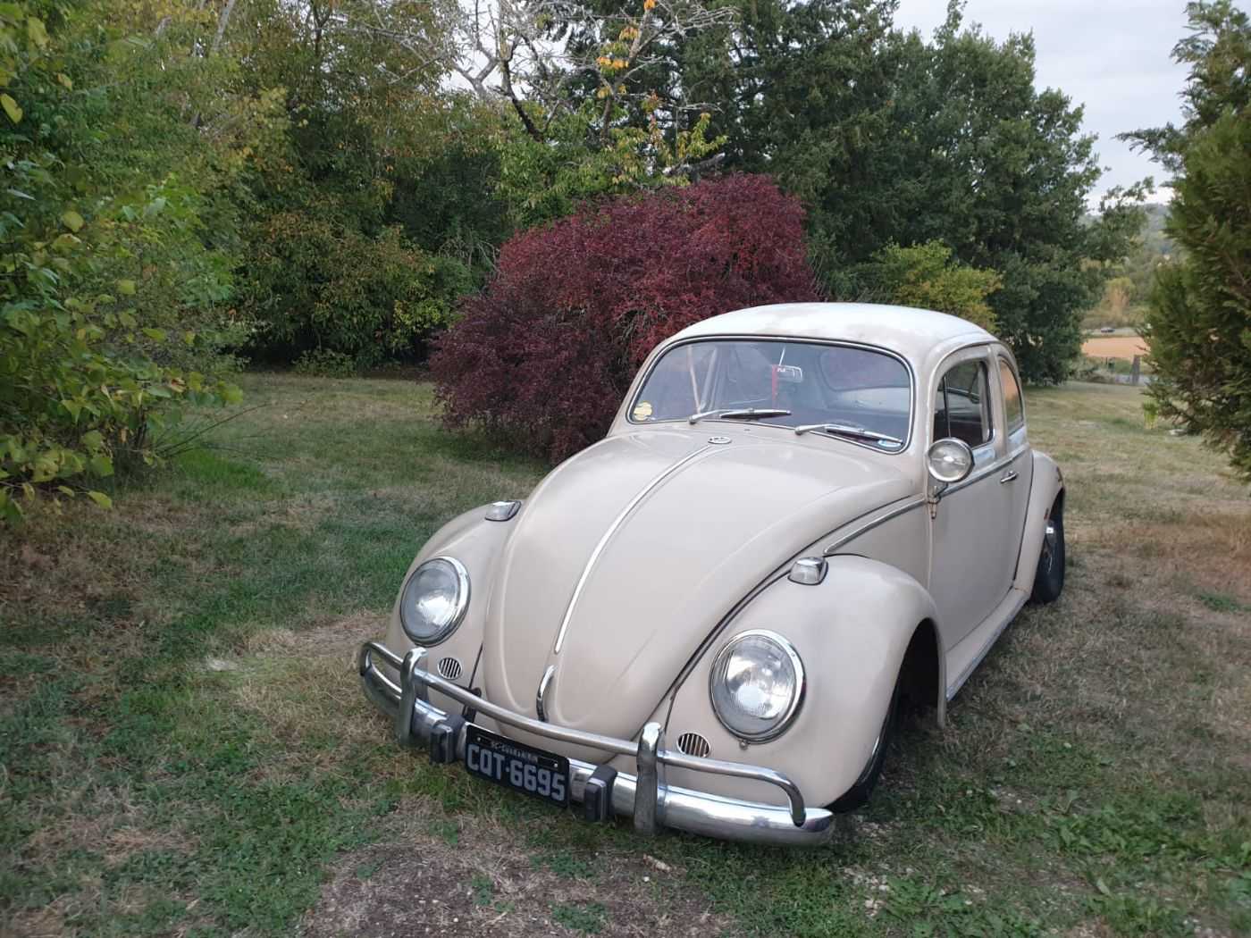 Volkswagen Coccinelle