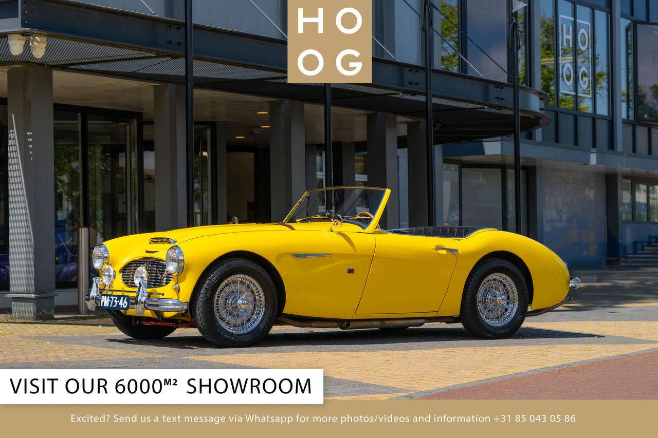 Austin Healey 100