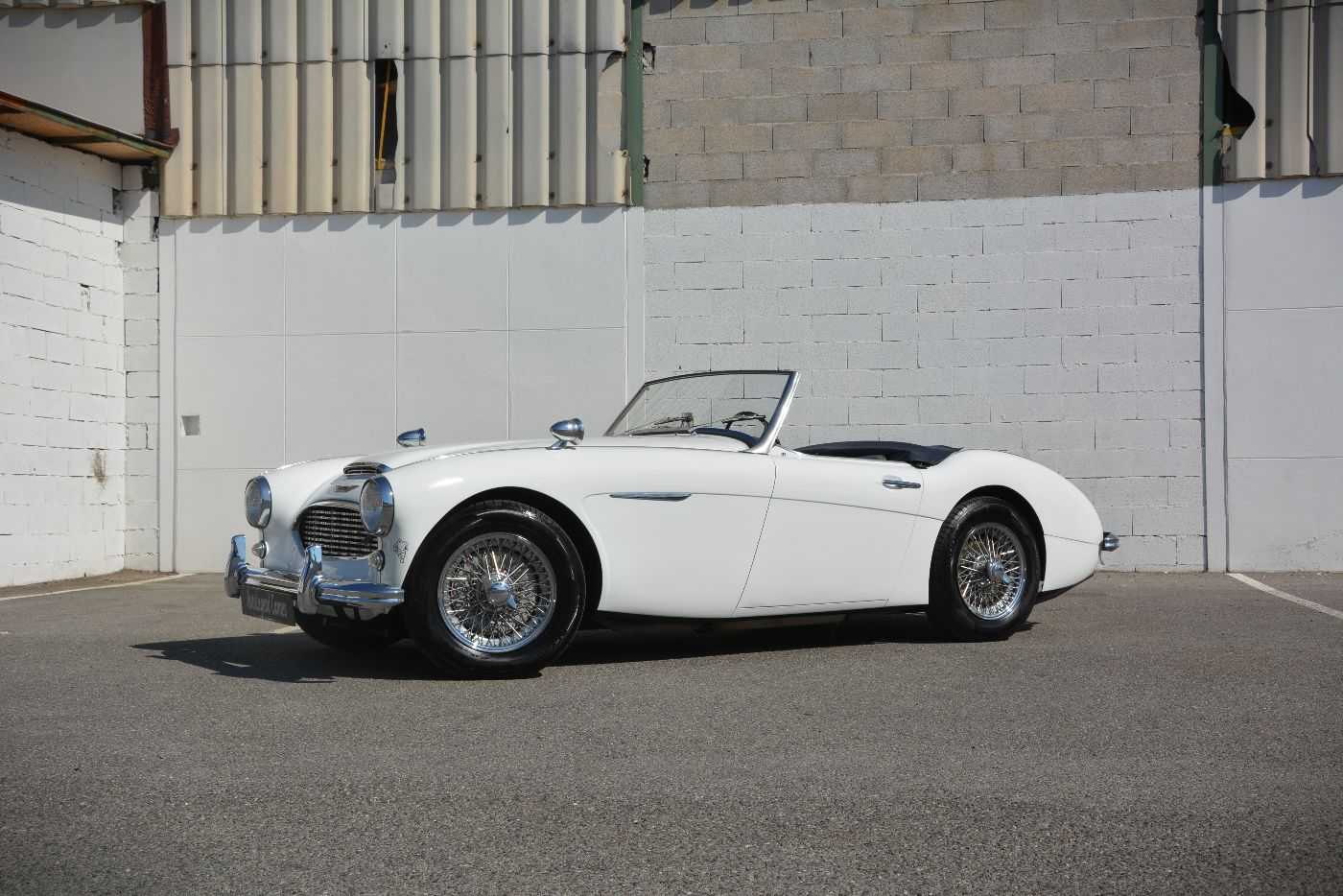 Austin Healey 100