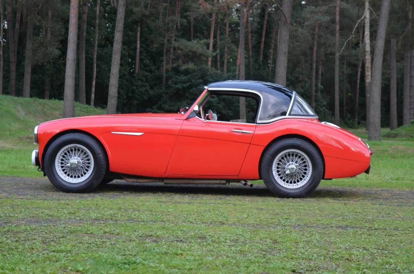 Austin Healey 100