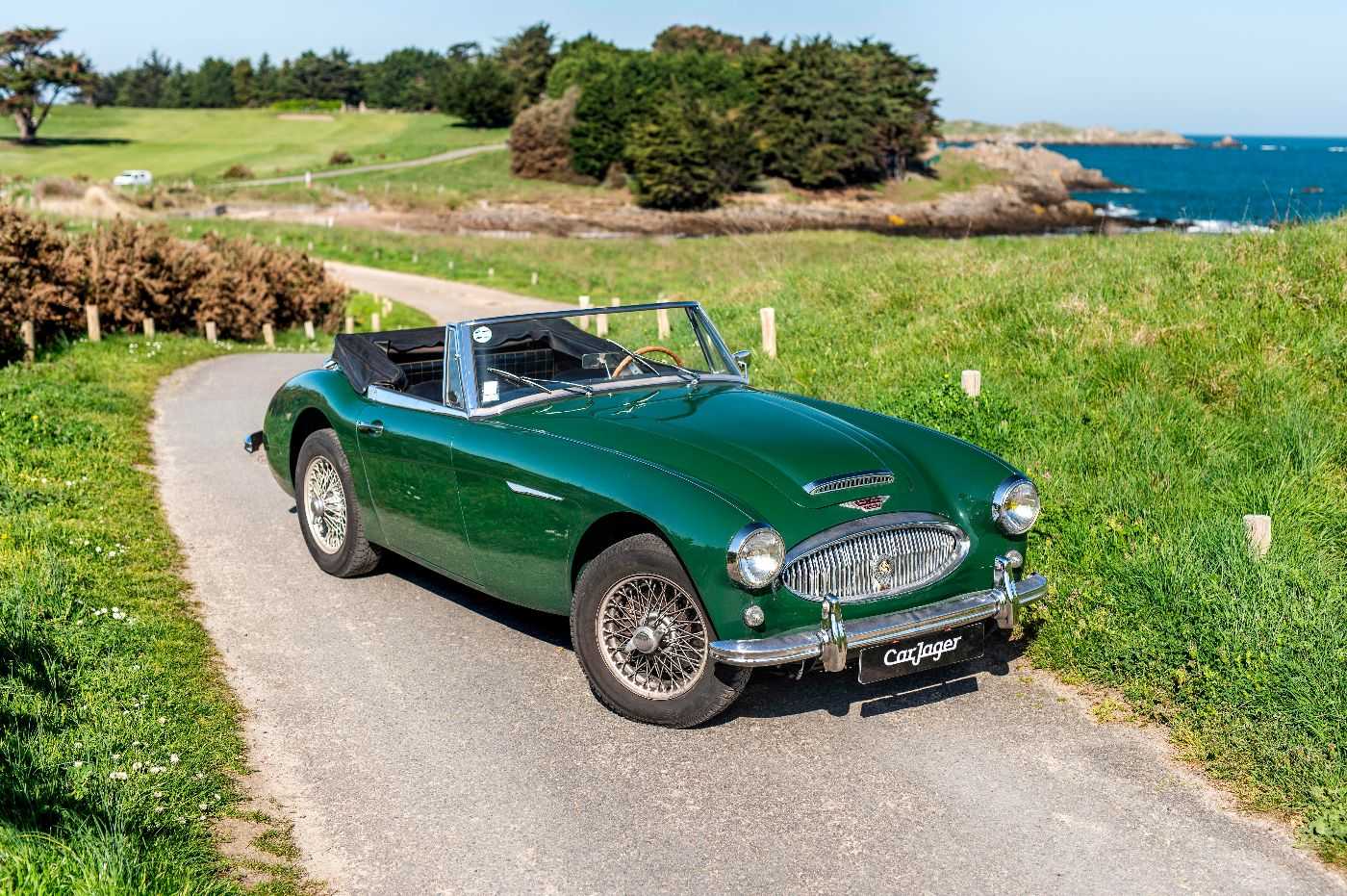 Austin Healey 3000
