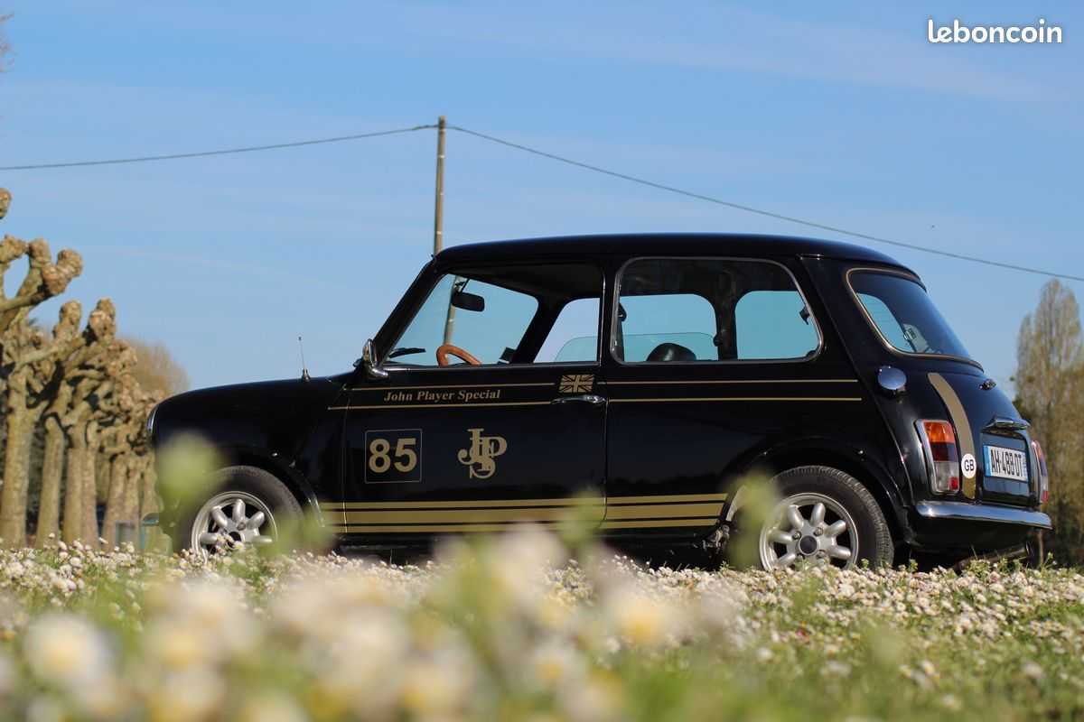 Mini 1000