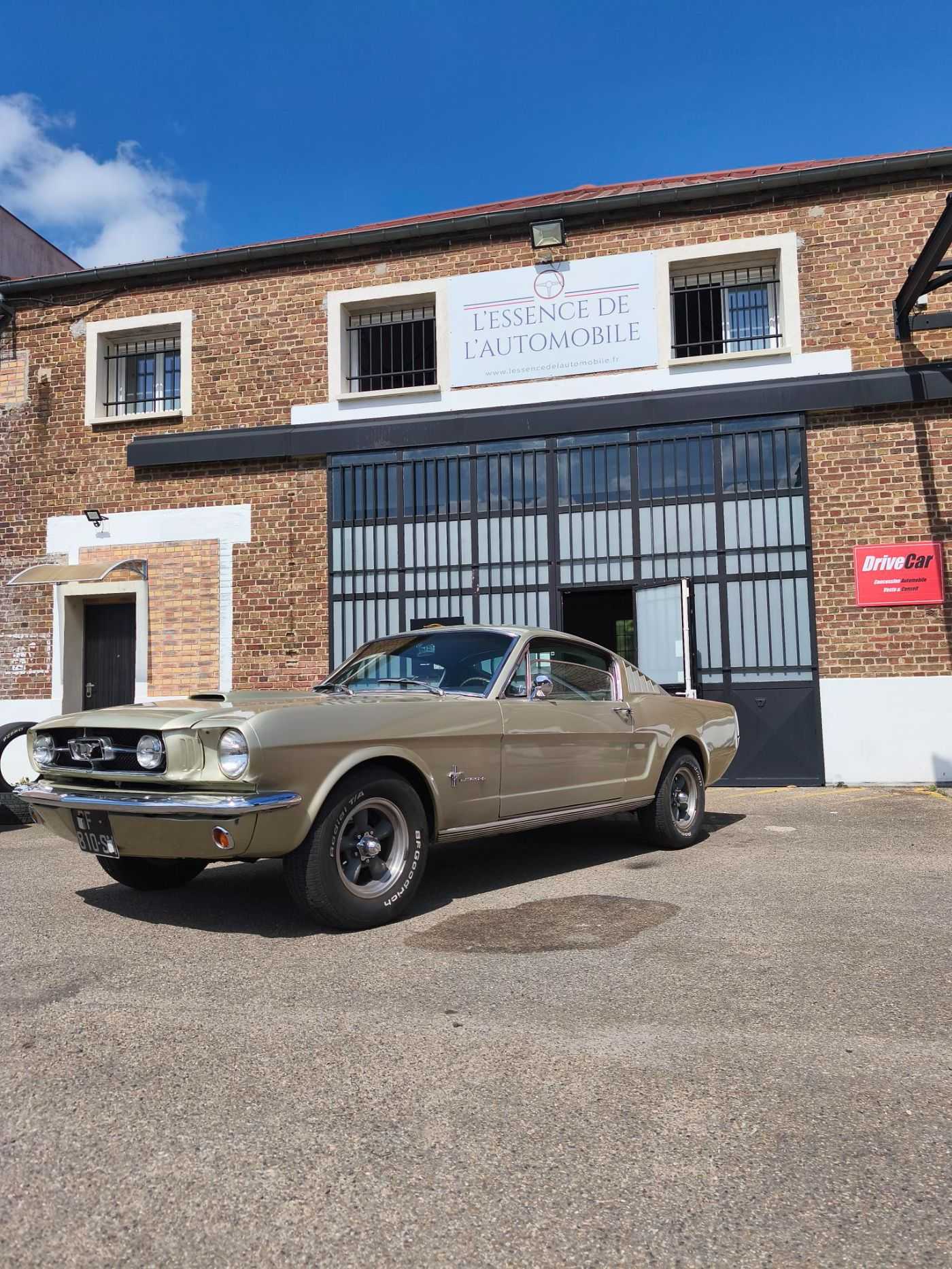 Ford Mustang