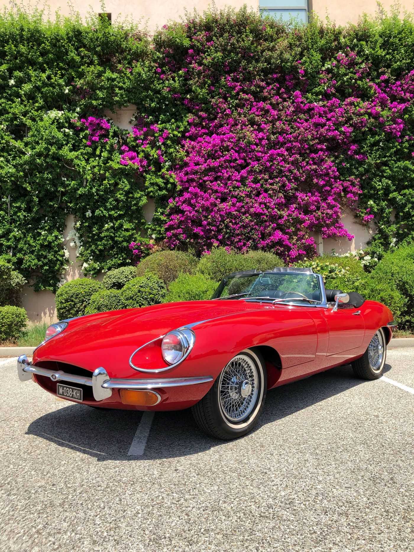 Jaguar Type E