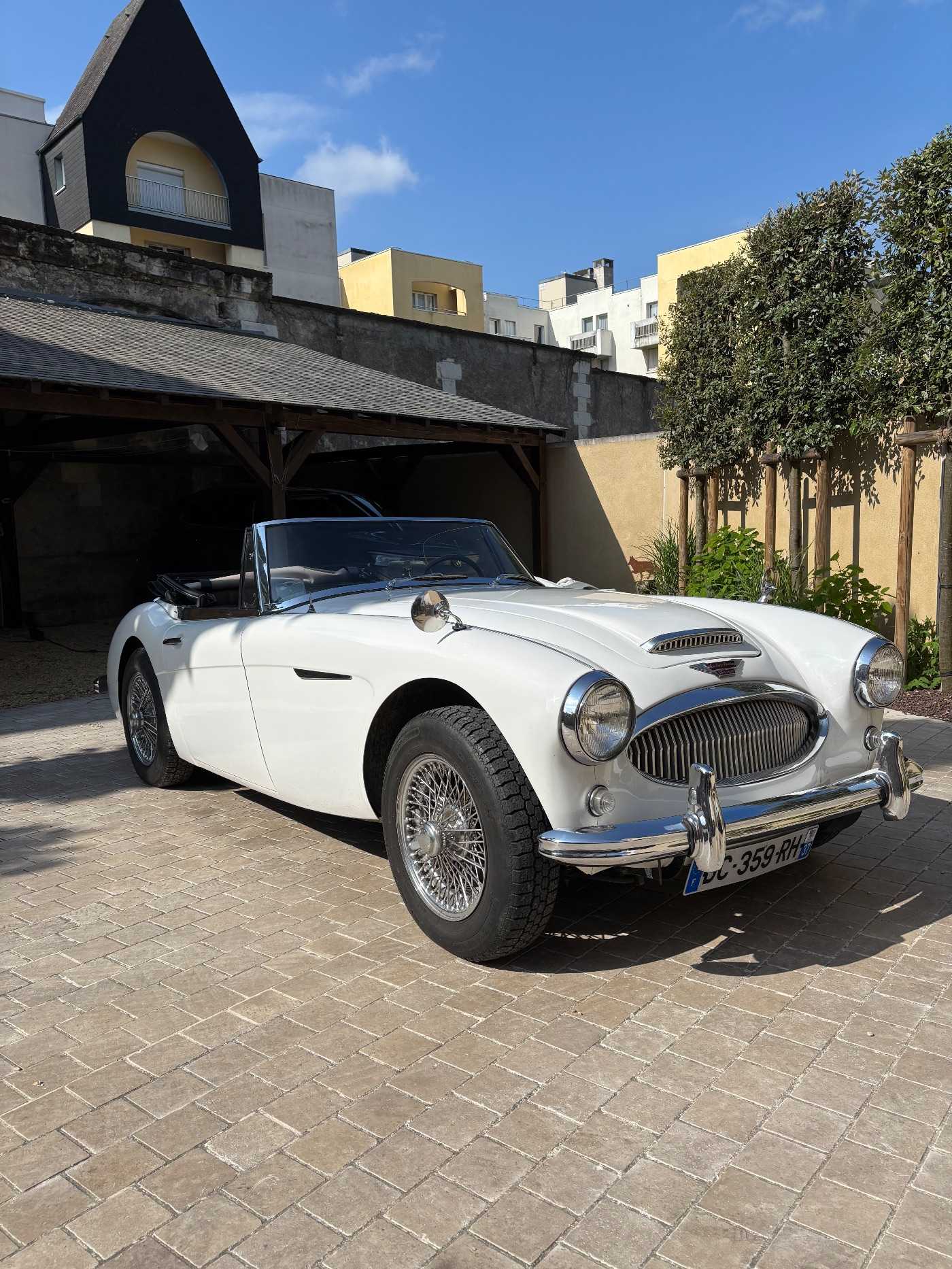 Austin Healey 3000