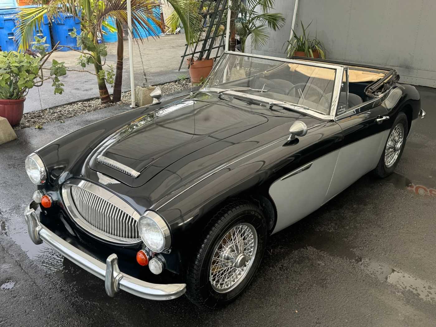 Austin Healey 3000