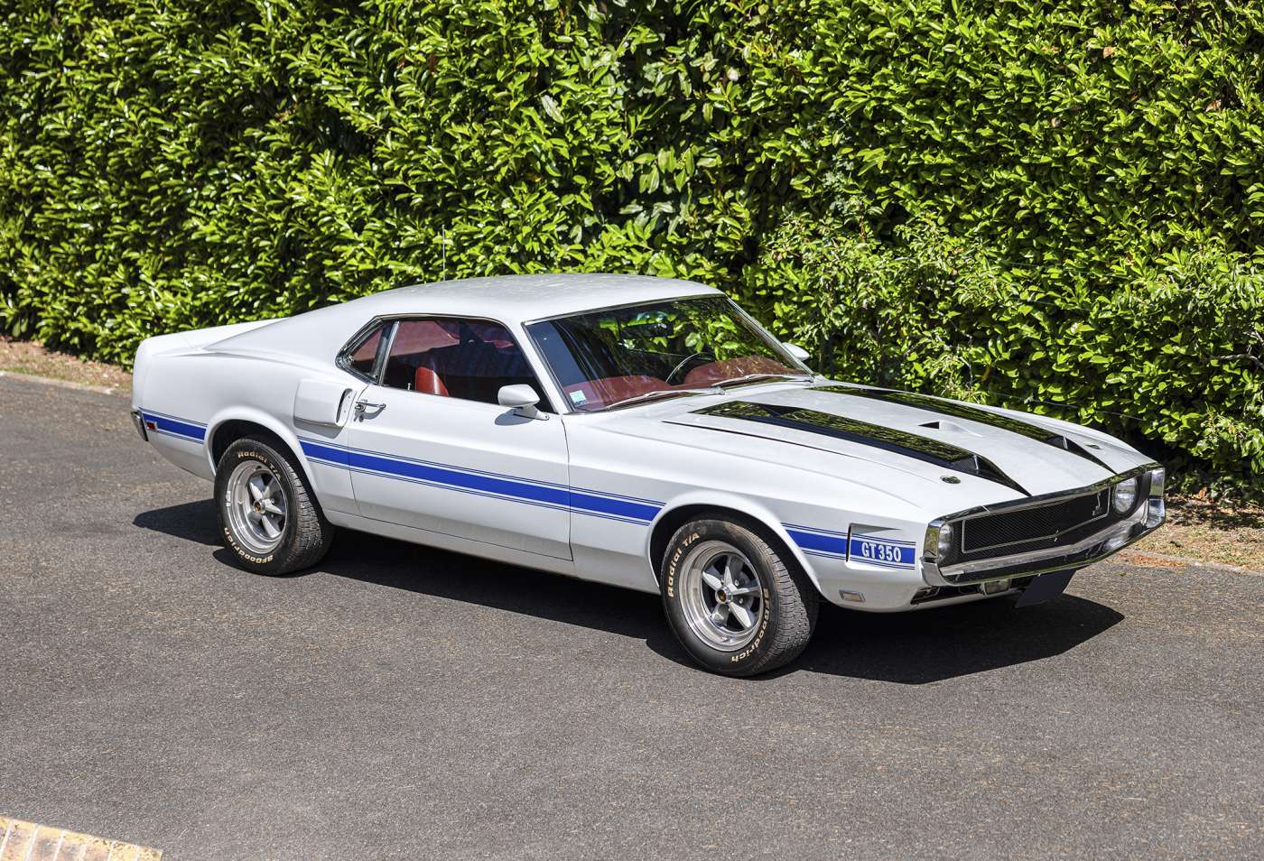Shelby GT