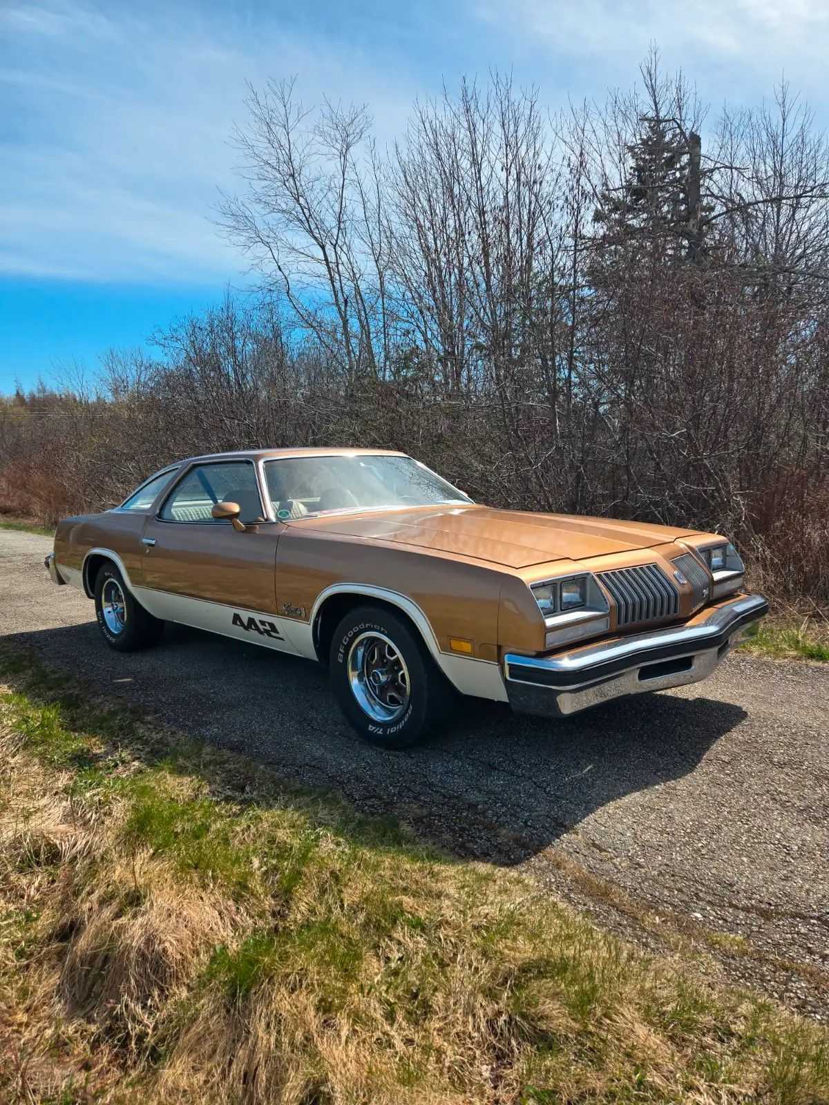 Oldsmobile Cutlass