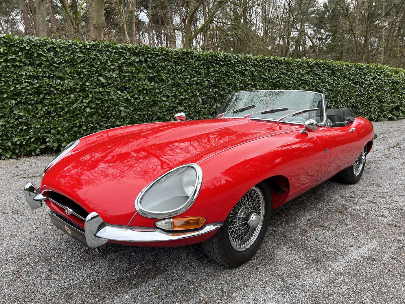 Jaguar Type E