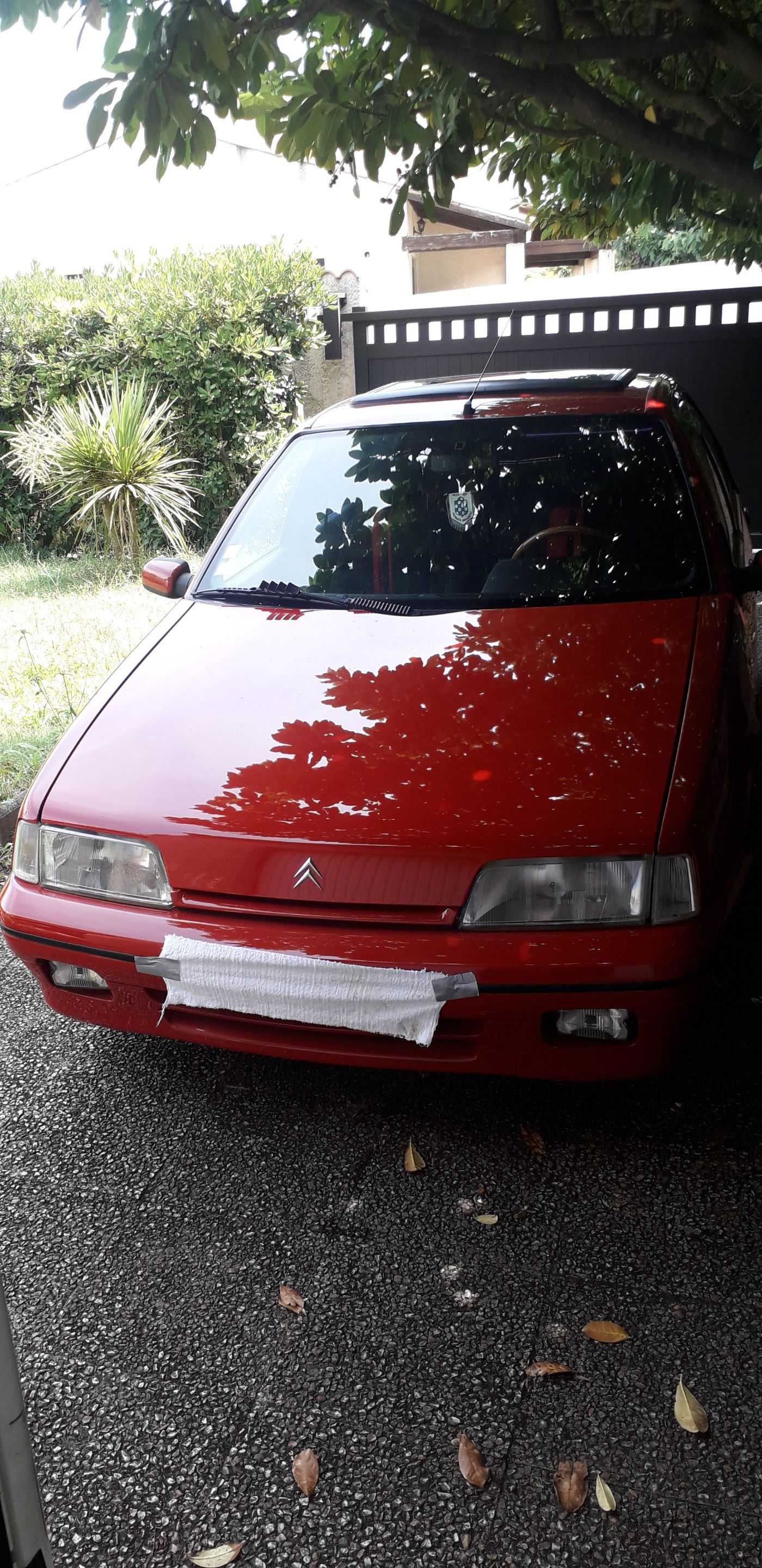 Citroen ZX