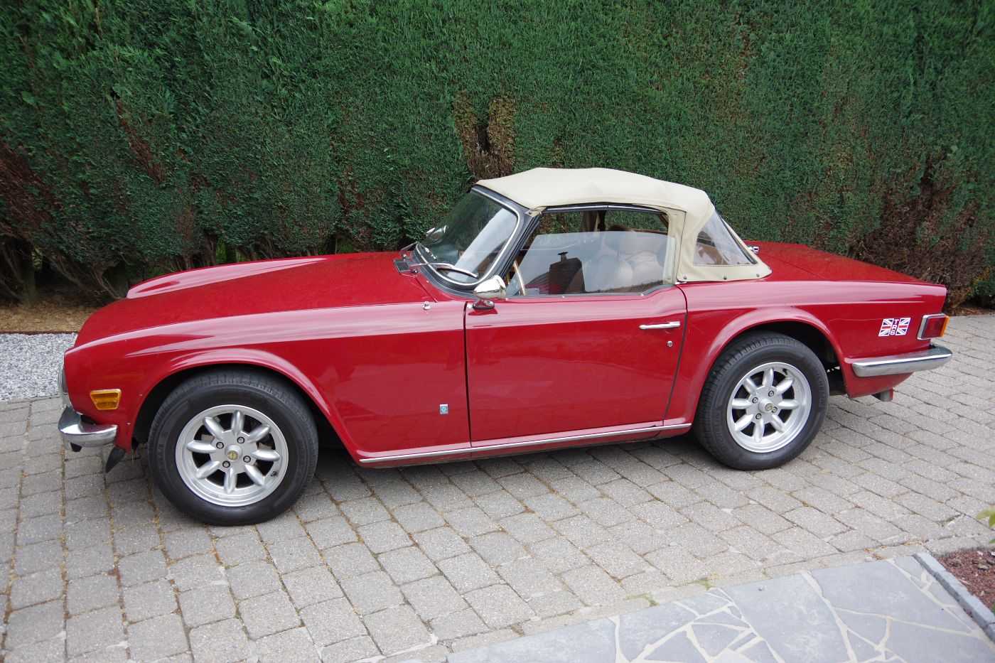 Triumph TR6