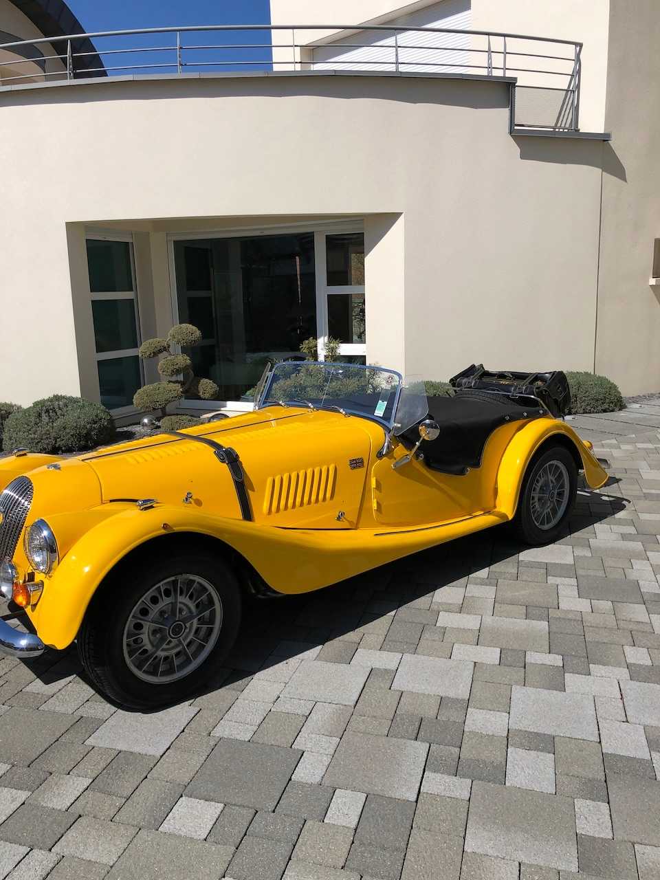 Morgan +8