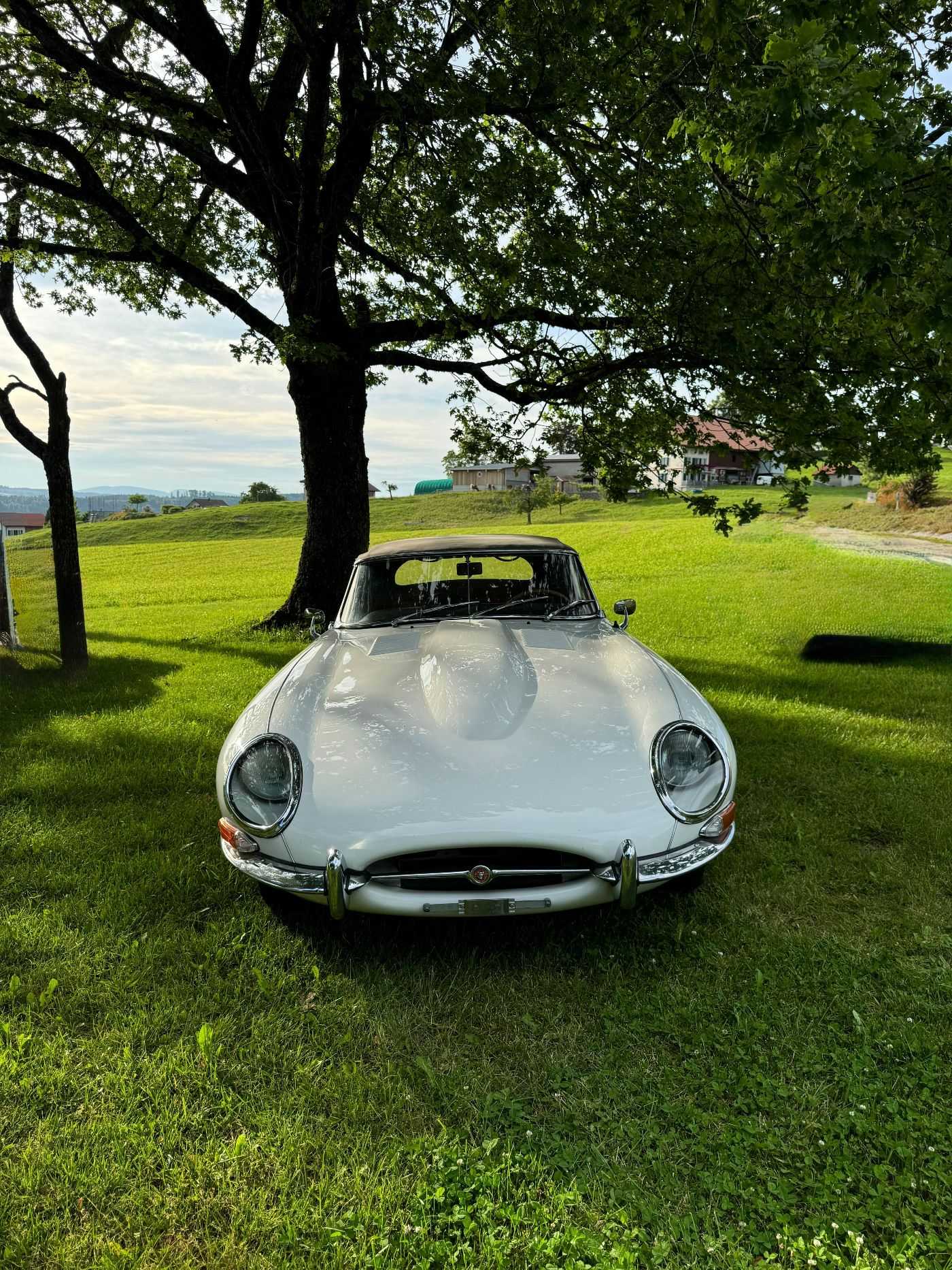 Jaguar Type E
