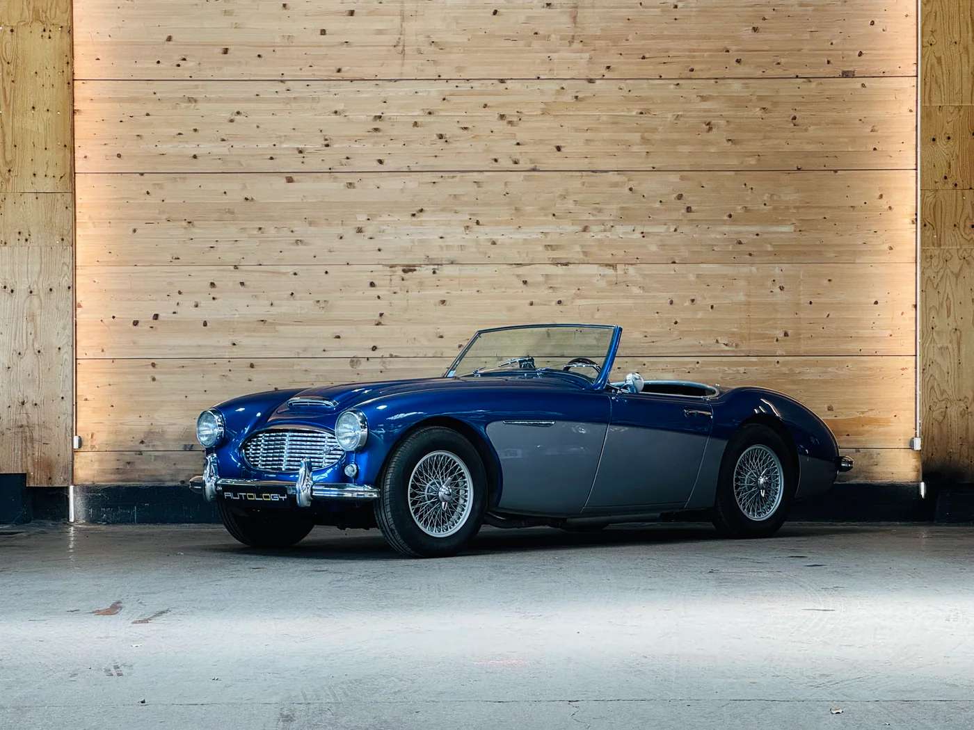 Austin Healey 100