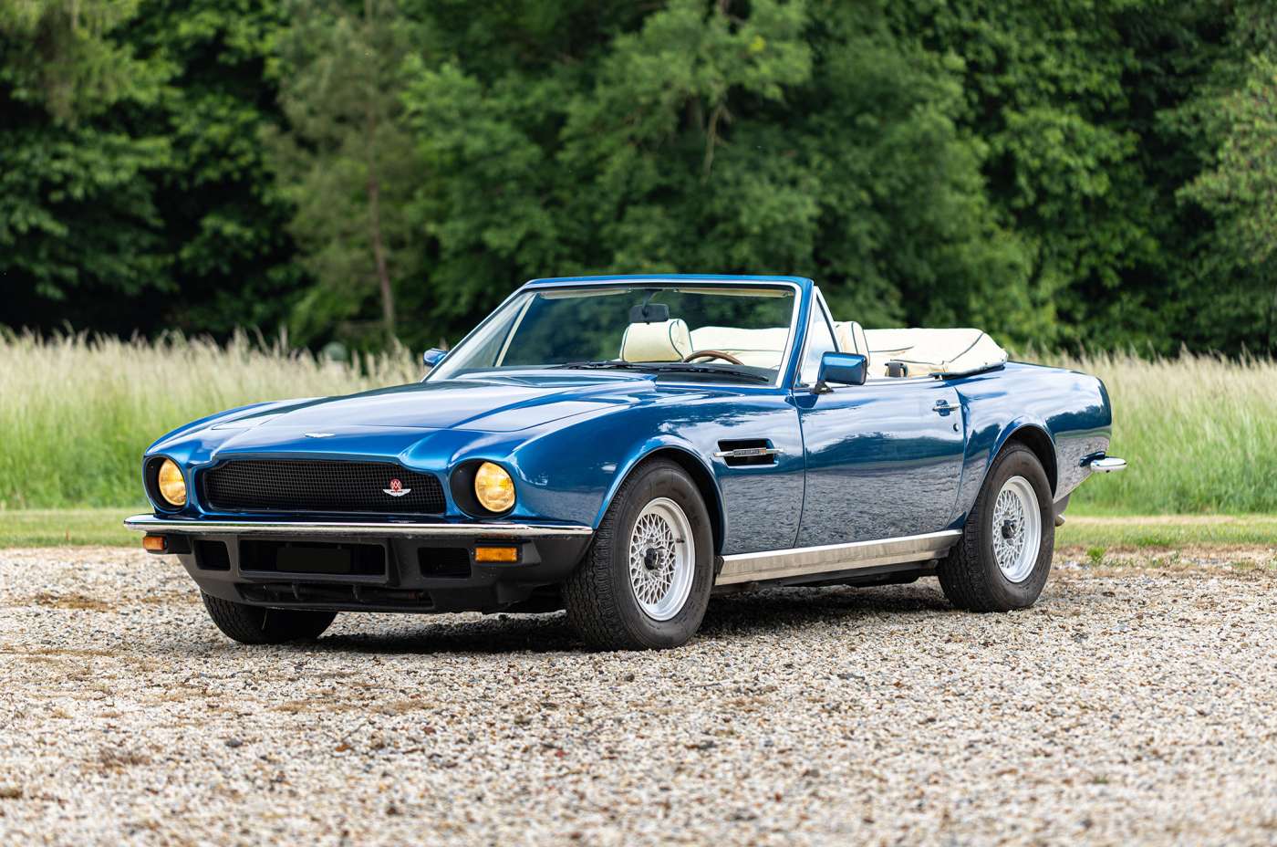 Aston Martin V8