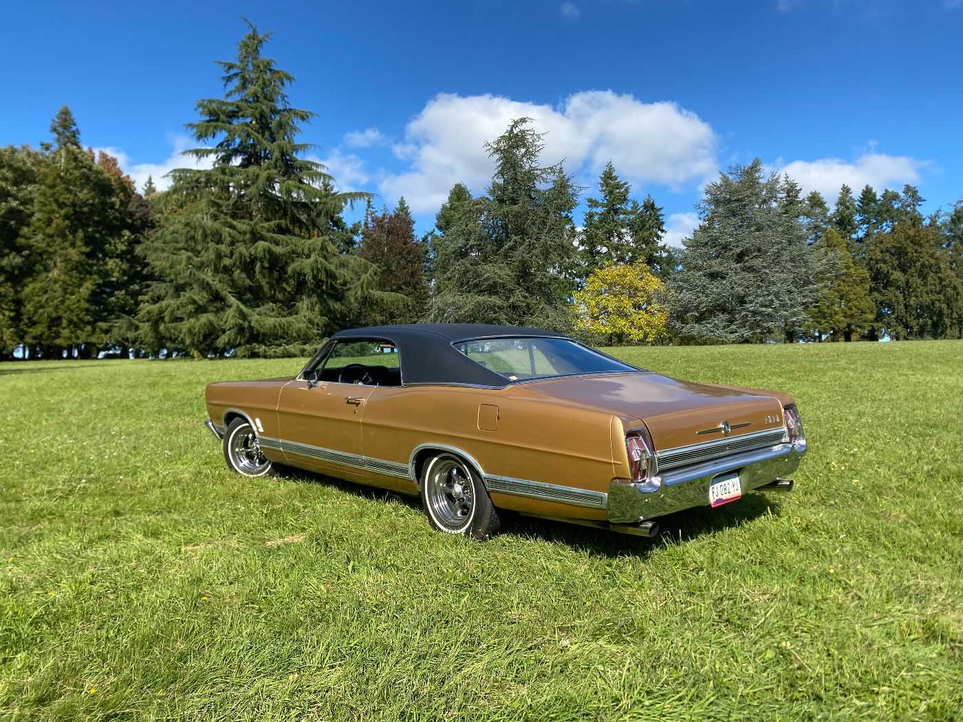 Ford Galaxie