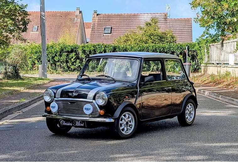 Mini 1000