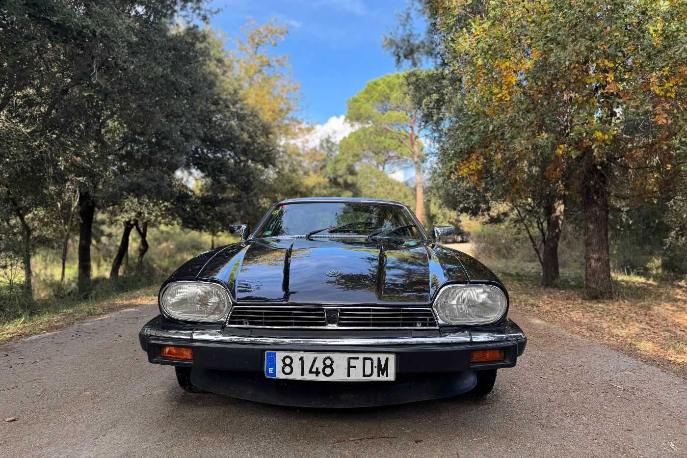 Jaguar XJS