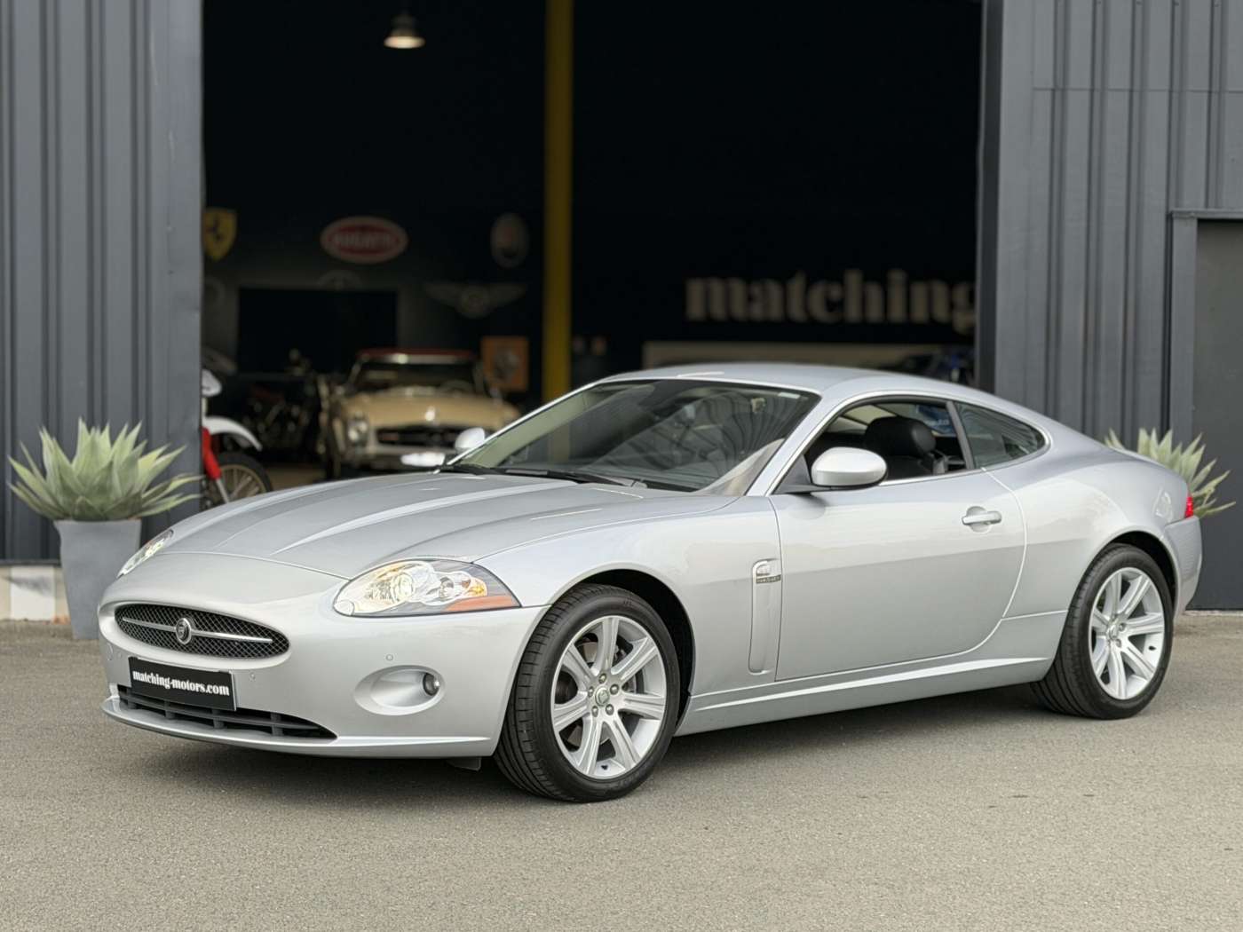 Jaguar Série - XK V8