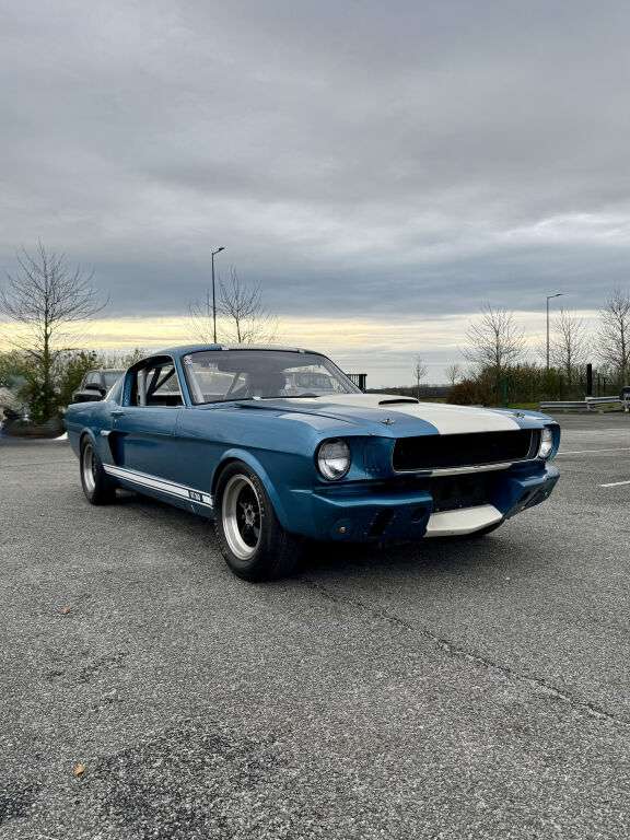 Shelby GT