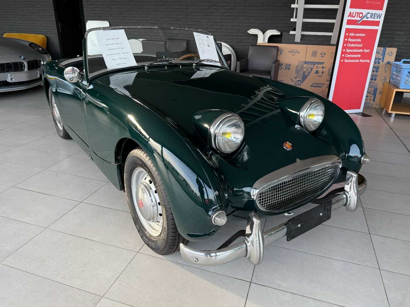 Austin Healey Sprite Frogeye