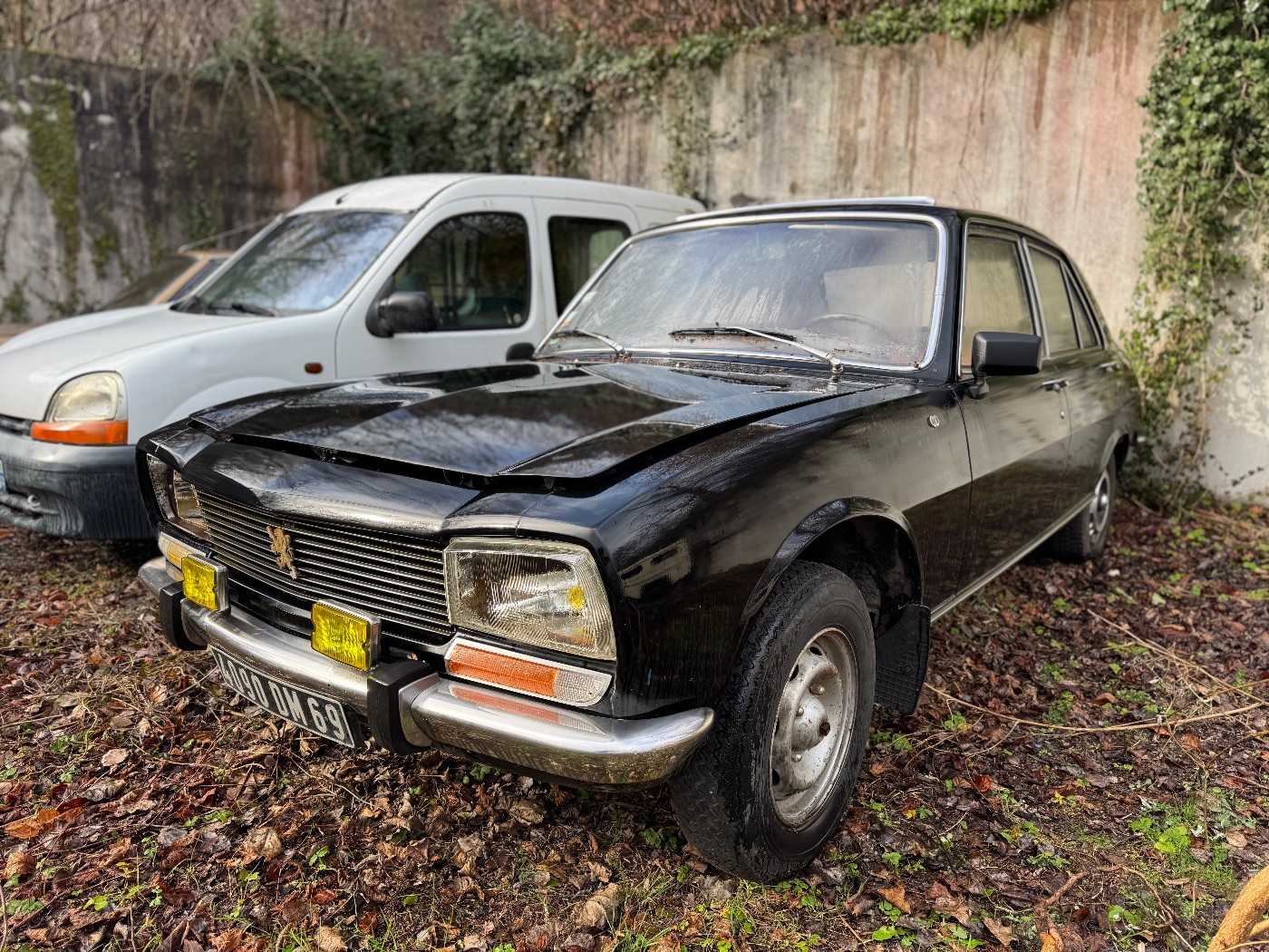 Peugeot 504