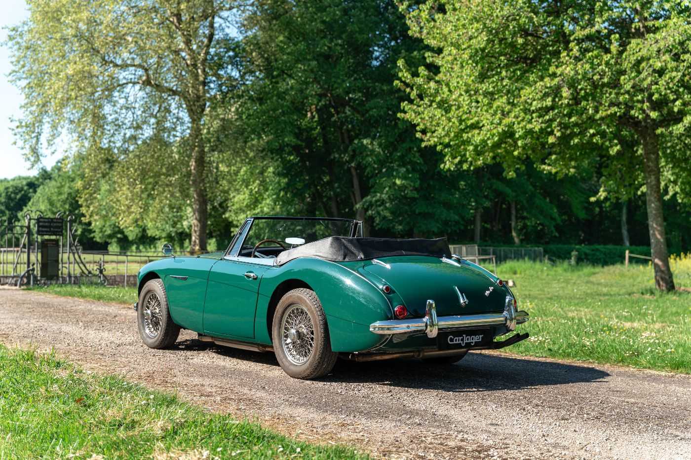 Austin Healey 3000