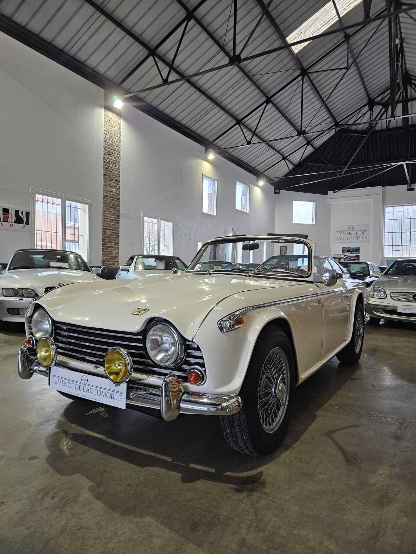 Triumph TR5