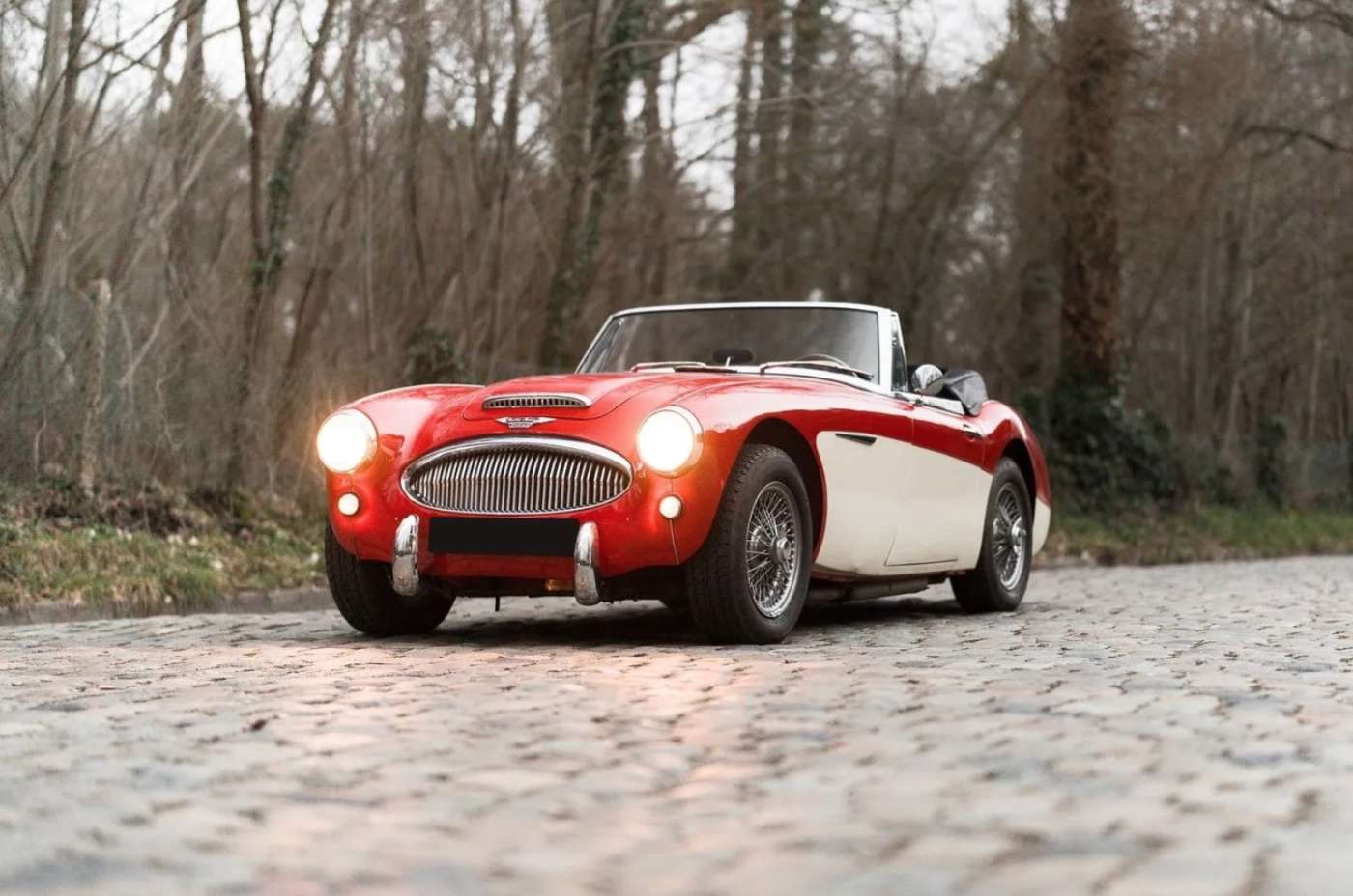 Austin Healey 3000