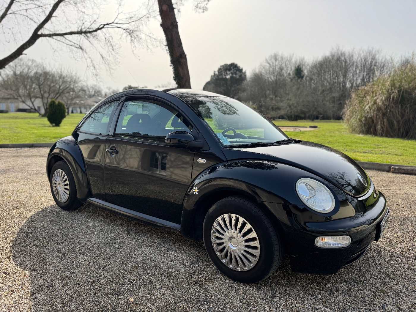 Volkswagen New Beetle