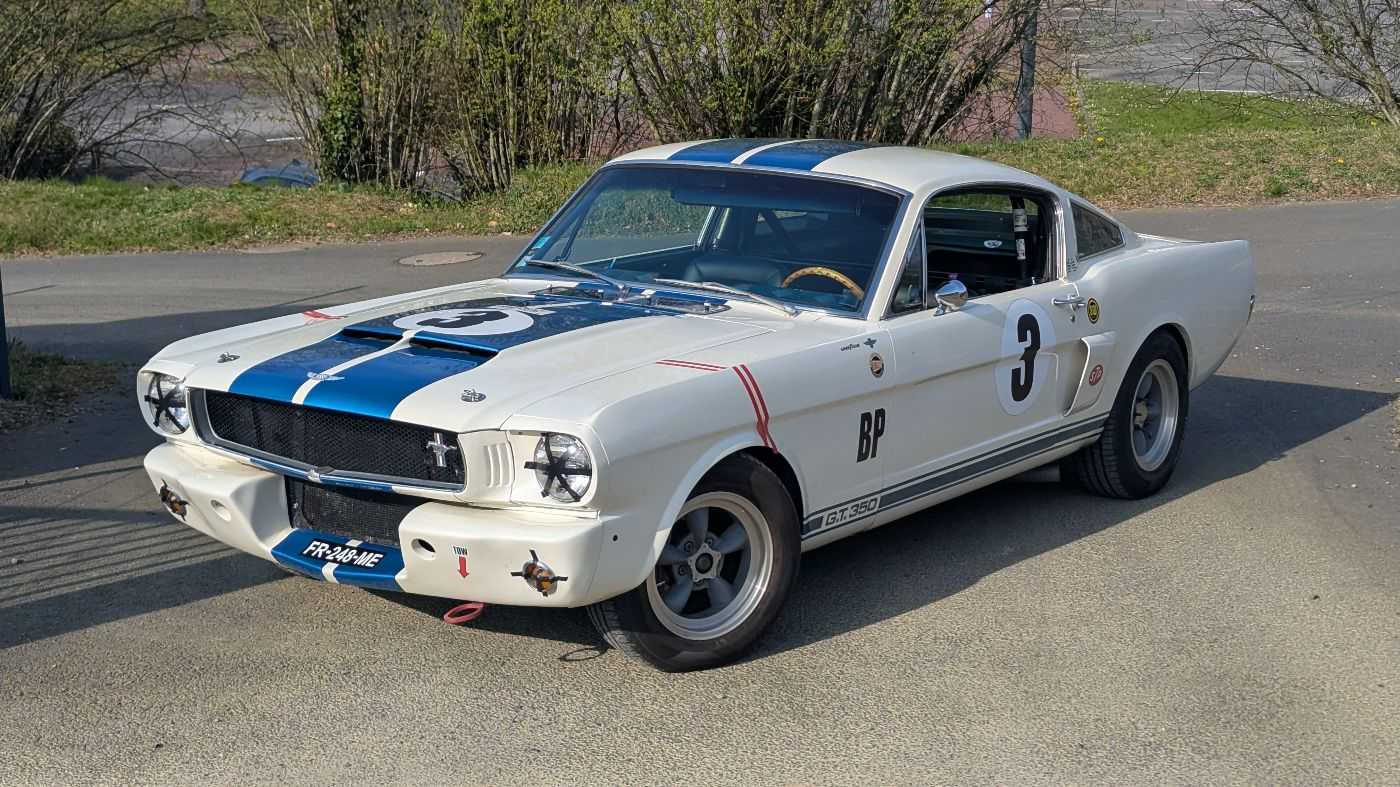 Shelby GT