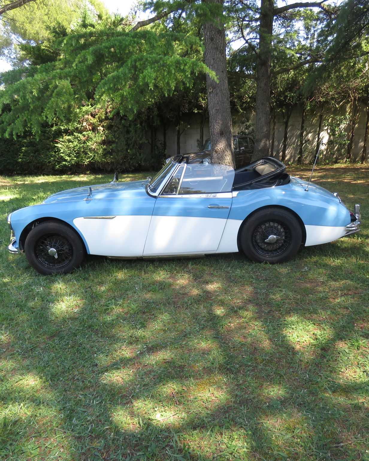 Austin Healey 3000