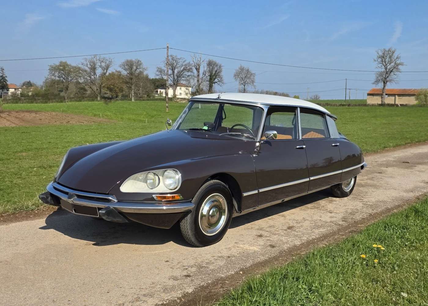 Citroen DS