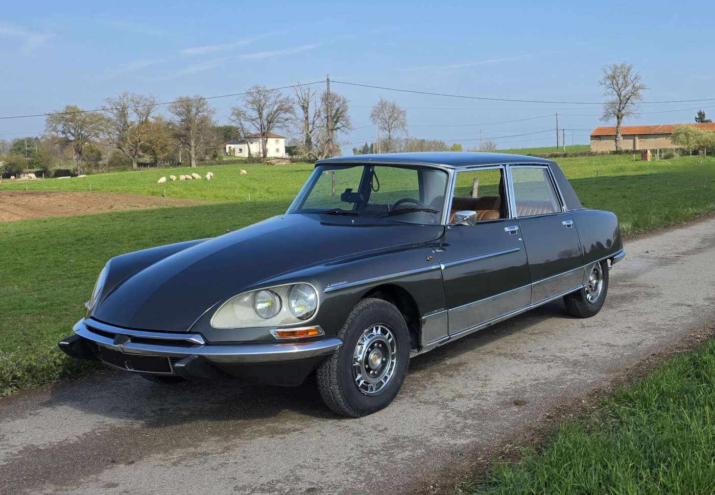 Citroen DS