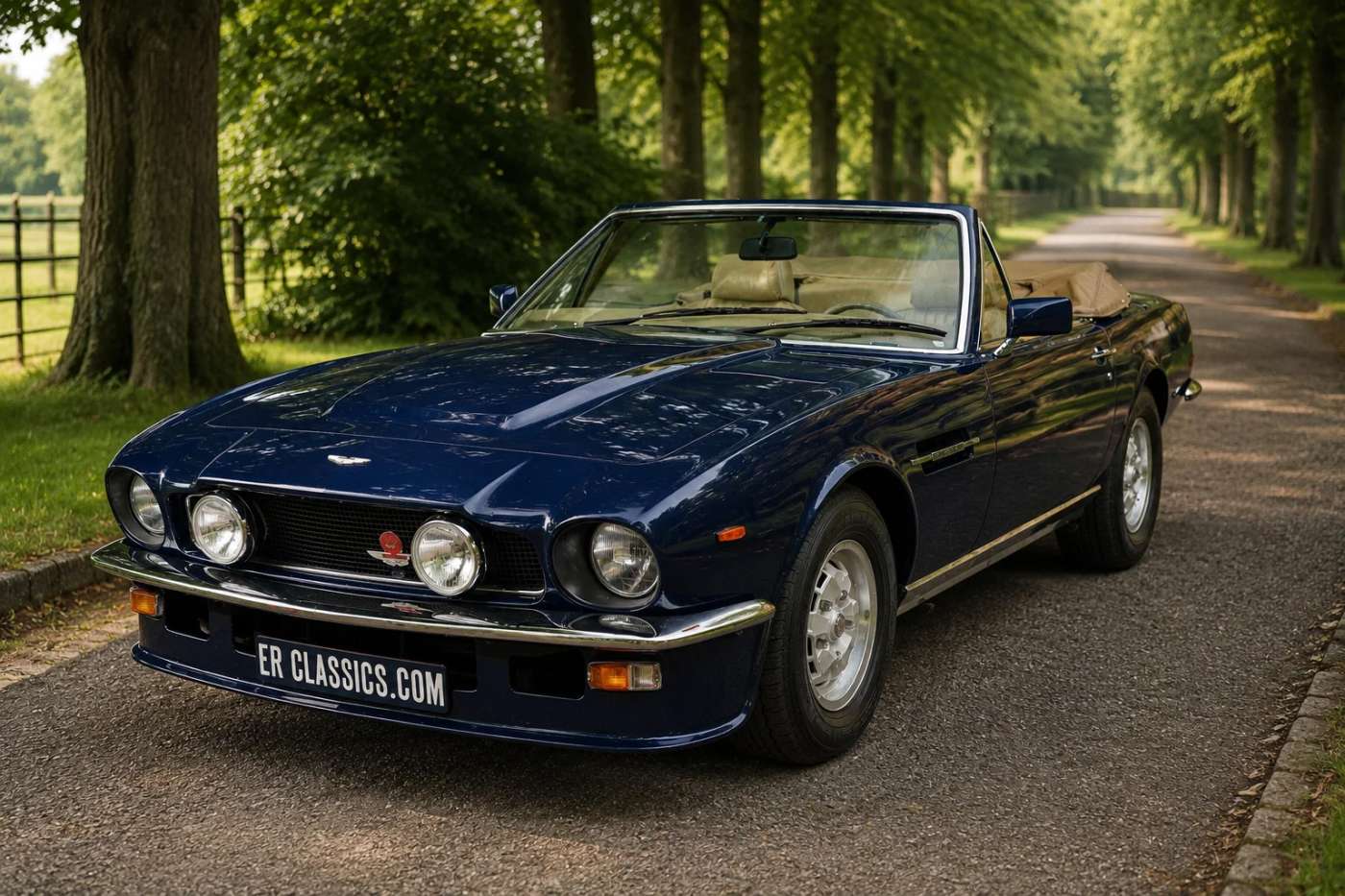 Aston Martin V8