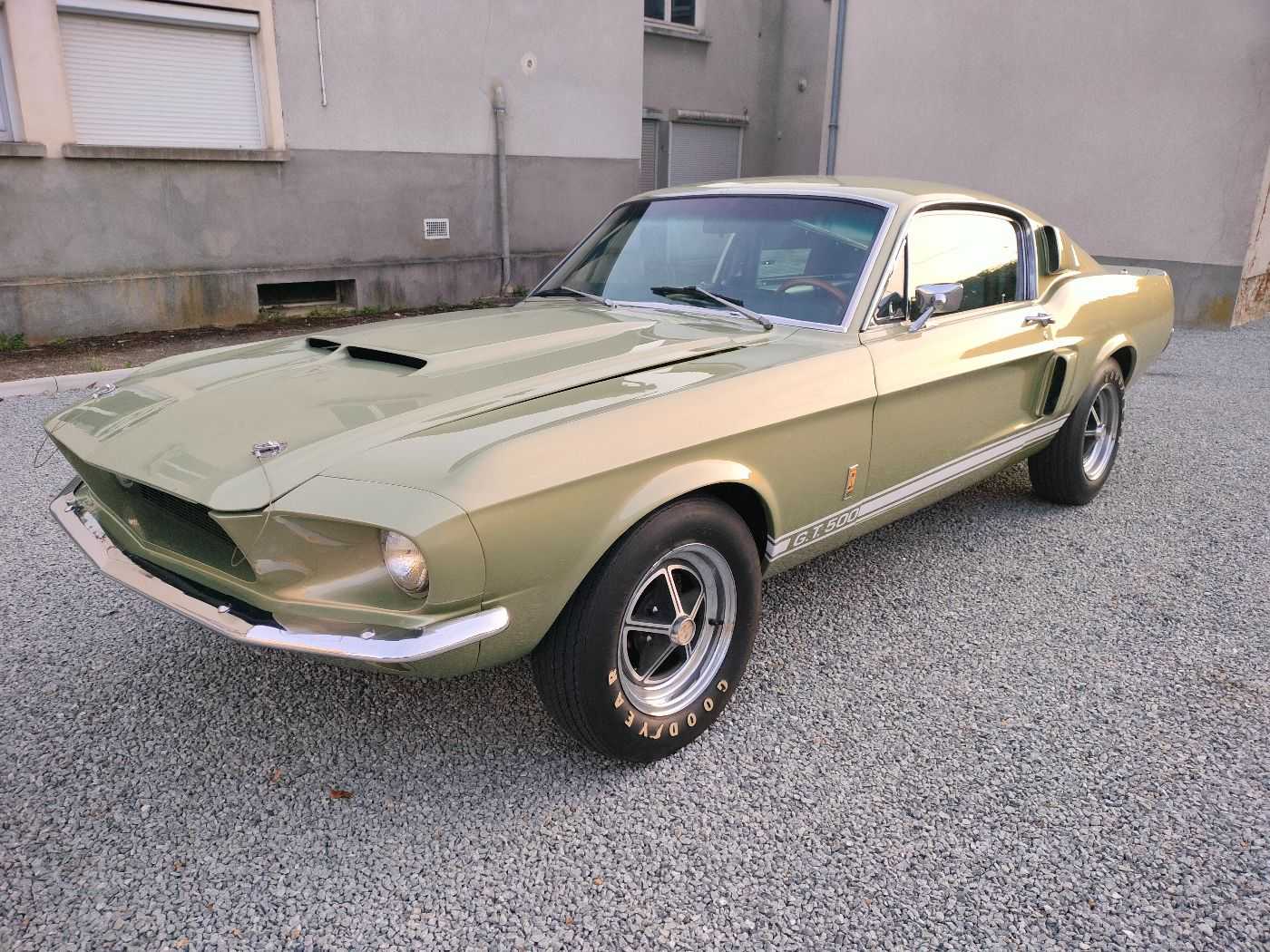 Shelby GT