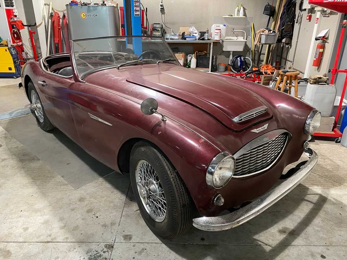 Austin Healey 100
