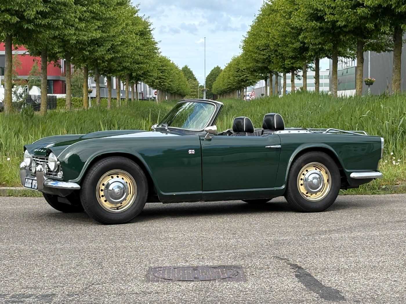 Triumph TR4