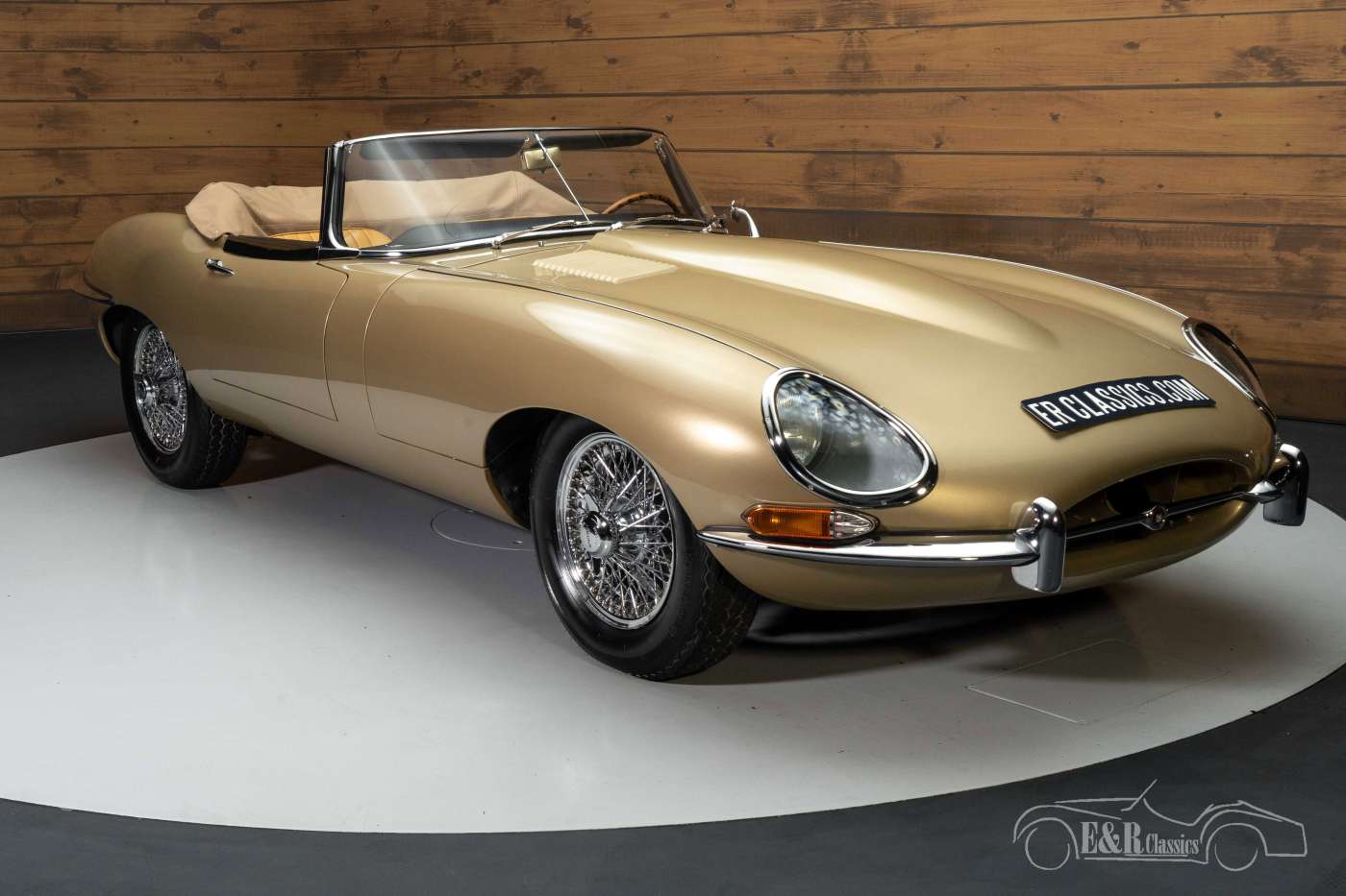 Jaguar Type E