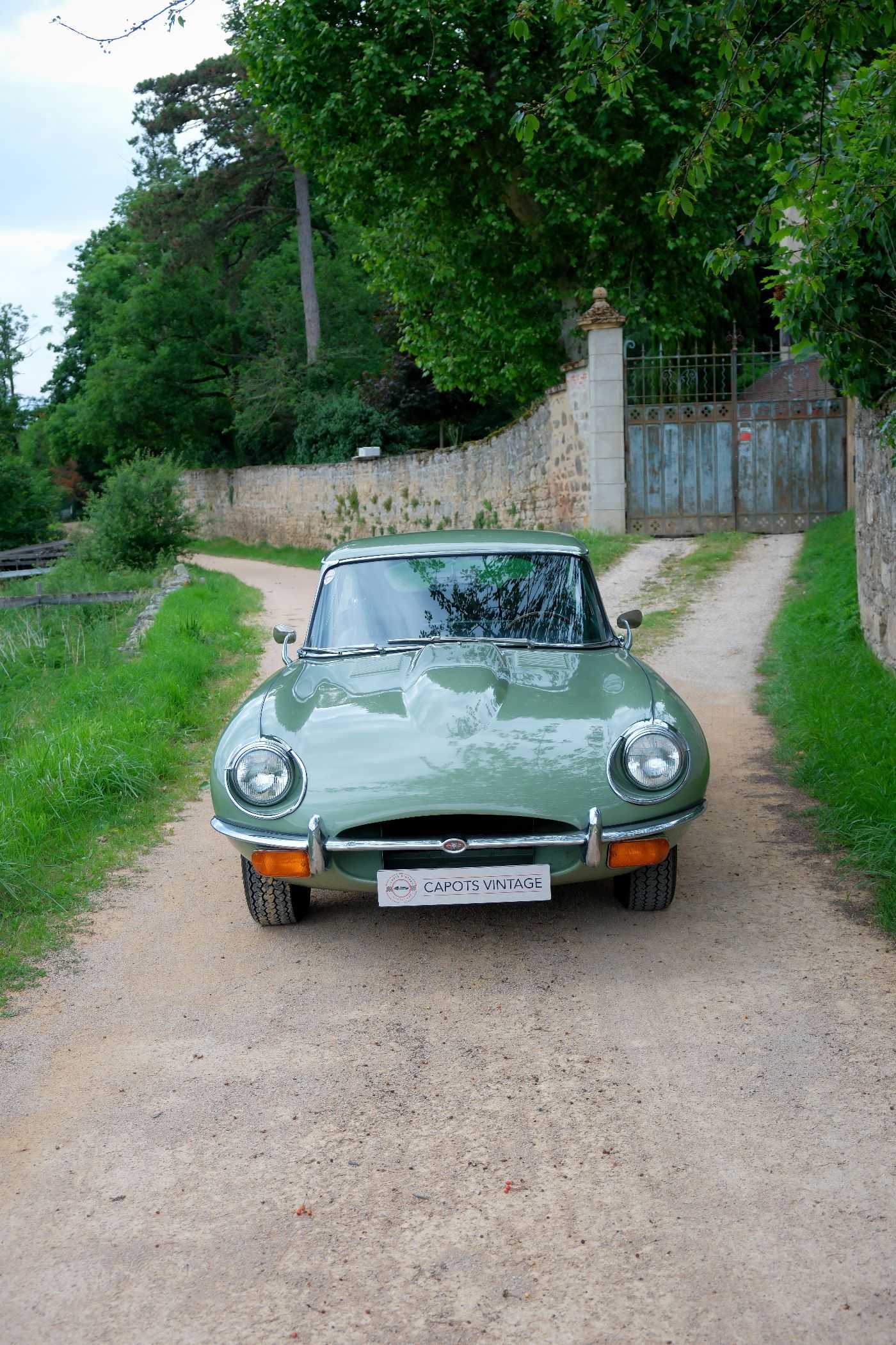 Jaguar Type E