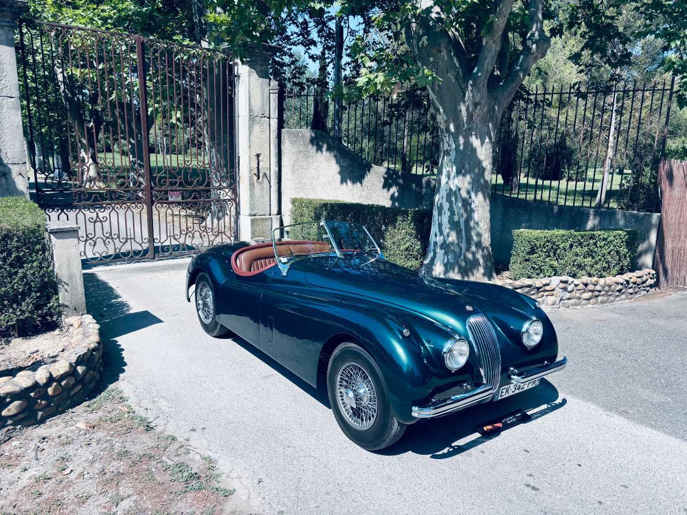 Jaguar Série - XK
