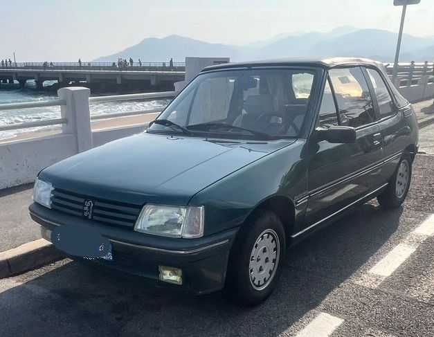 Peugeot 205
