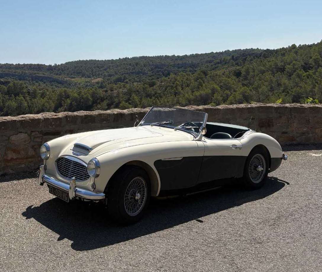 Austin Healey 100